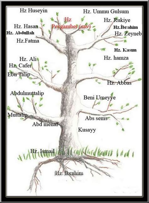 peygamberimizin soy ağacı ağaç şeklinde